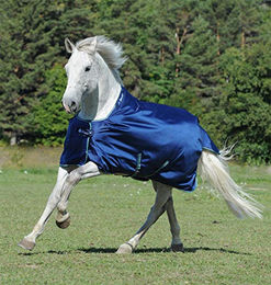 Bucas Smartex Turnout Extra Weidedecke für Pferde 300g Blau 165 cm - 300 g – Bild 1 von 11
