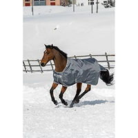 Produktbild von Bucas Smartex Turnout Medium Classic Weidedecke für Pferde 150g Grau