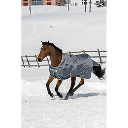 Bucas Smartex Turnout Medium Classic Weidedecke für Pferde Grau 150g – Bild 1 von 5