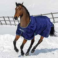 Produktbild von Bucas Smartex Turnout Outdoor-Decke für Pferde Medium 150g Blau - 150 g