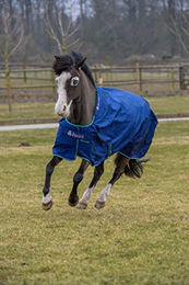 Bucas Smartex Turnout Rain Classic 0g Pony Pferdedecke Blau – Bild 1 von 11