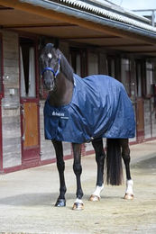 Bucas Stable Sheet Stalldecke für Pferde aus Polyester in Navy Blau 0g – Bild 1 von 3