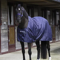 Produktbild von Bucas Stalldecke für Pferde aus Polyester Blau 145