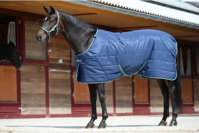 Bucas Staydry Unterdecke für Pferde Blau 300g – Bild 1 von 6