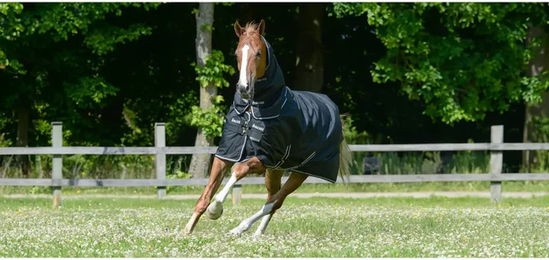 Bucas Trot Turnout 50g Wasserdichte Outdoor-Pferdedecke Schwarz/Weiß Größe 120 - 50 g – Bild 1 von 5