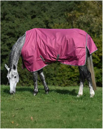 Produktbild von Bucas Winterdecke Freedom Turnout 150 g Rosa 125 cm