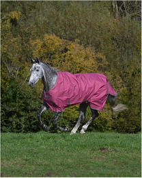 Produktbild von Bucas Winterdecke Freedom Turnout 300 g Rosa