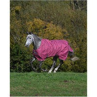 Produktbild von Bucas Winterdecke Freedom Turnout 300 g Rosa