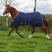 Produktbild von Bucas X-Range Turnout Pferdedecke Navy Blau 200g