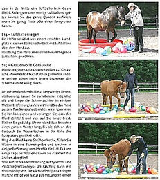 Buch Bodenarbeit Die Reitschule Pferde-Handbuch – Bild 1 von 3