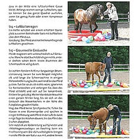 Produktbild von Buch Bodenarbeit Die Reitschule Pferde-Handbuch