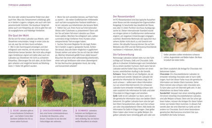 Buch Labrador Retriever von Katharina Schlegl-Kofler – Bild 1 von 7