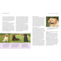 Produktbild von Buch Labrador Retriever von Katharina Schlegl-Kofler