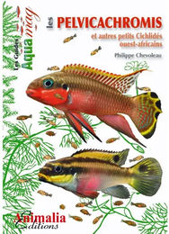 Buch Livre Les Pelvicachromis von Martin Sellier für Fische – Bild 1 von 1
