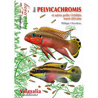 Produktbild von Buch Livre Les Pelvicachromis von Martin Sellier für Fische