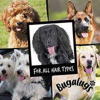 Produktbild von Bugalugs Hundeshampoo 2 in 1 Papaya & Coconut Vegan Sensitive 250 ml - 250 ml