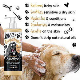 Bugalugs Hundeshampoo Haferflocken und Aloe Vera 500 ml hypoallergen für empfindliche Haut - 500 ml – Bild 1 von 5