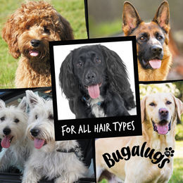 Bugalugs Hundeshampoo One In A Million für alle Felltypen und Altersstufen 500 ml - 500 ml – Bild 1 von 4