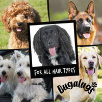 Produktbild von Bugalugs Hundeshampoo One In A Million für alle Felltypen und Altersstufen 500 ml - 500 ml