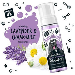 Bugalugs Lavendeltraum No-Rinse Shampoo für Hunde und Katzen mit Lavendel und Kamille 200 ml - 200 ml – Bild 1 von 9
