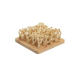 Bunny Nature Intelligenzspielzeug Schnüffelbrett von puppijames für Kaninchen und Ratten aus Naturmaterial in Beige – Bild 1 von 11