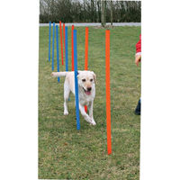 Produktbild von Buntes Agility-Slalomgerät für Hunde