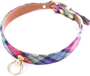 Buntes Hundehalsband von Martin Sellier – Bild 1 von 1