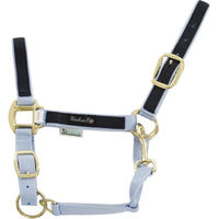 Produktbild von Buntes Nylon Halfter für Pferde und Ponys von Umbria Equitazione in Blau