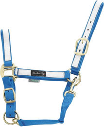 Produktbild von Buntes Nylon Halfter für Pferde und Ponys von Umbria Equitazione in Blau