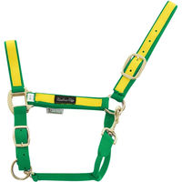 Produktbild von Buntes Nylon Halfter für Pferde und Ponys von Umbria Equitazione in Grün