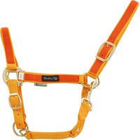 Produktbild von Buntes Nylon Halfter für Pferde von Umbria Equitazione