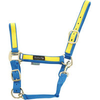 Produktbild von Buntes Nylon Halfter für Pferde von Umbria Equitazione
