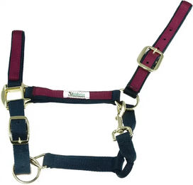 Produktbild von Buntes Nylon Halfter für Pferde von Umbria Equitazione