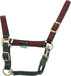 Produktbild von Buntes Nylon Halfter für Pferde von Umbria Equitazione in Grün