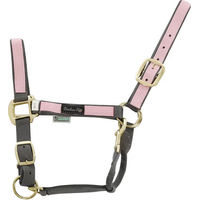 Produktbild von Buntes Nylon Halfter für Ponys von Umbria Equitazione