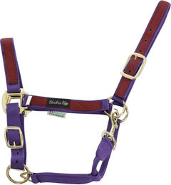 Produktbild von Buntes Nylon Halfter für Ponys von Umbria Equitazione in Lila