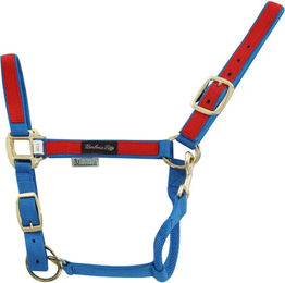 Produktbild von Buntes Nylon Pferdehalfter Umbria Equitazione Full