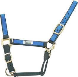 Produktbild von Buntes Nylon Pferdehalfter Umbria Equitazione Full