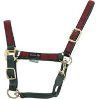 Produktbild von Buntes Nylon Pferdehalfter Umbria Equitazione in Grün