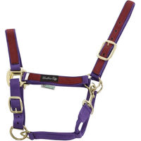 Produktbild von Buntes Nylon Pferdehalfter Umbria Equitazione in Lila