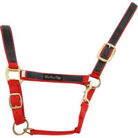 Produktbild von Buntes Nylon Pferdehalfter Umbria Equitazione in Rot