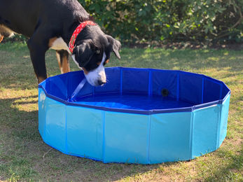 BURI Hundepool faltbares Planschbecken aus Kunststoff Blau 80x20cm – Bild 1 von 11