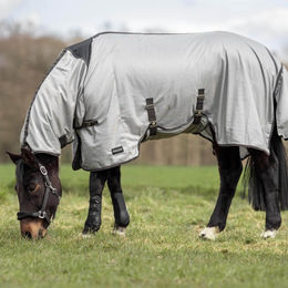 Busse 145 Plus Paddock-Fliegendecke für Pferde Grau Anthrazit – Bild 1 von 3