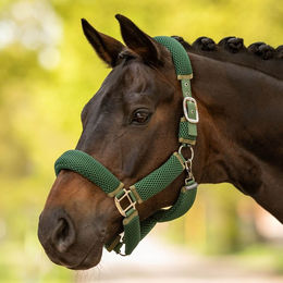 Busse 3D Air Effect Plus Gurthalfter Emerald für Warmblut Pferde – Bild 1 von 1