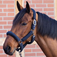 Produktbild von Busse 3D Air Effect Plus Gurthalfter für Warmblut in Navy