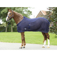 Produktbild von Busse Abschweizdecke SUMMER-FLY II Blau Polyester
