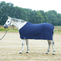 Produktbild von Busse Abschwitzdecke BASIC II aus Polyester Blau 135 cm