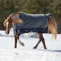 Produktbild von Busse Active Pro 150 Weidedecke Outdoordecke Anthrazit Navy
