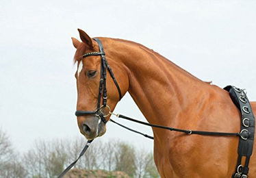 Produktbild von Busse Ausbindezügel Basic-Starr für Warmblut in Schwarz