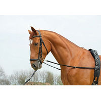 Produktbild von Busse Ausbindezügel Basic-Starr für Warmblut in Schwarz